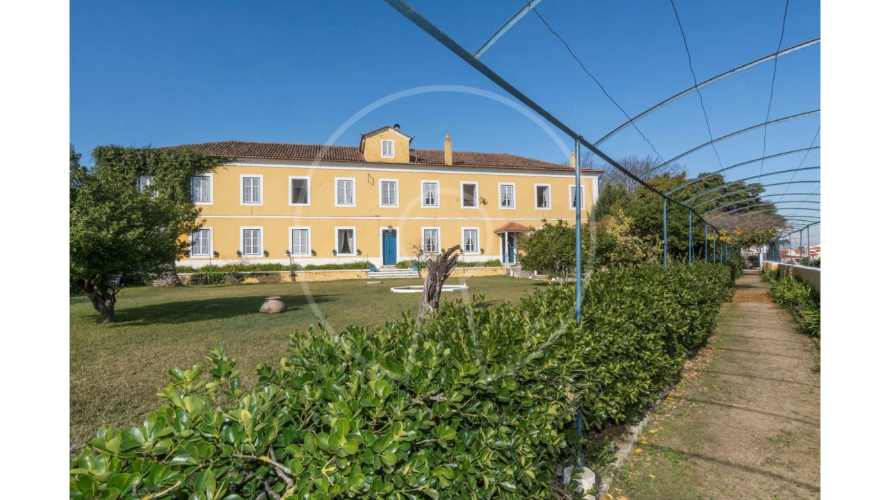 Quinta T24 para Venda em Valado dos Frades Foto 2