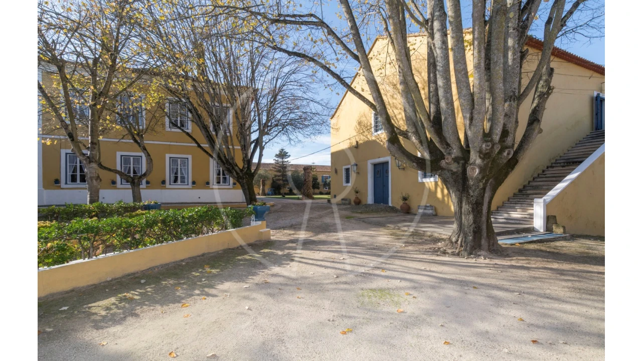 Quinta T24 para Venda em Valado dos Frades Foto 4