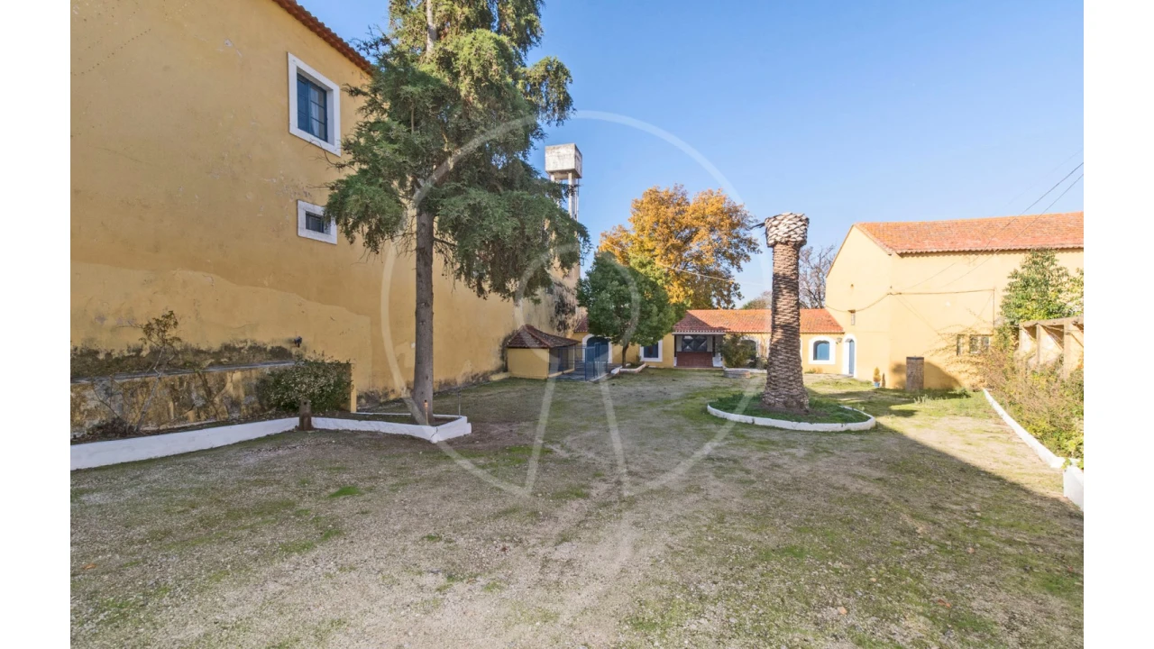 Quinta T24 para Venda em Valado dos Frades Foto 23