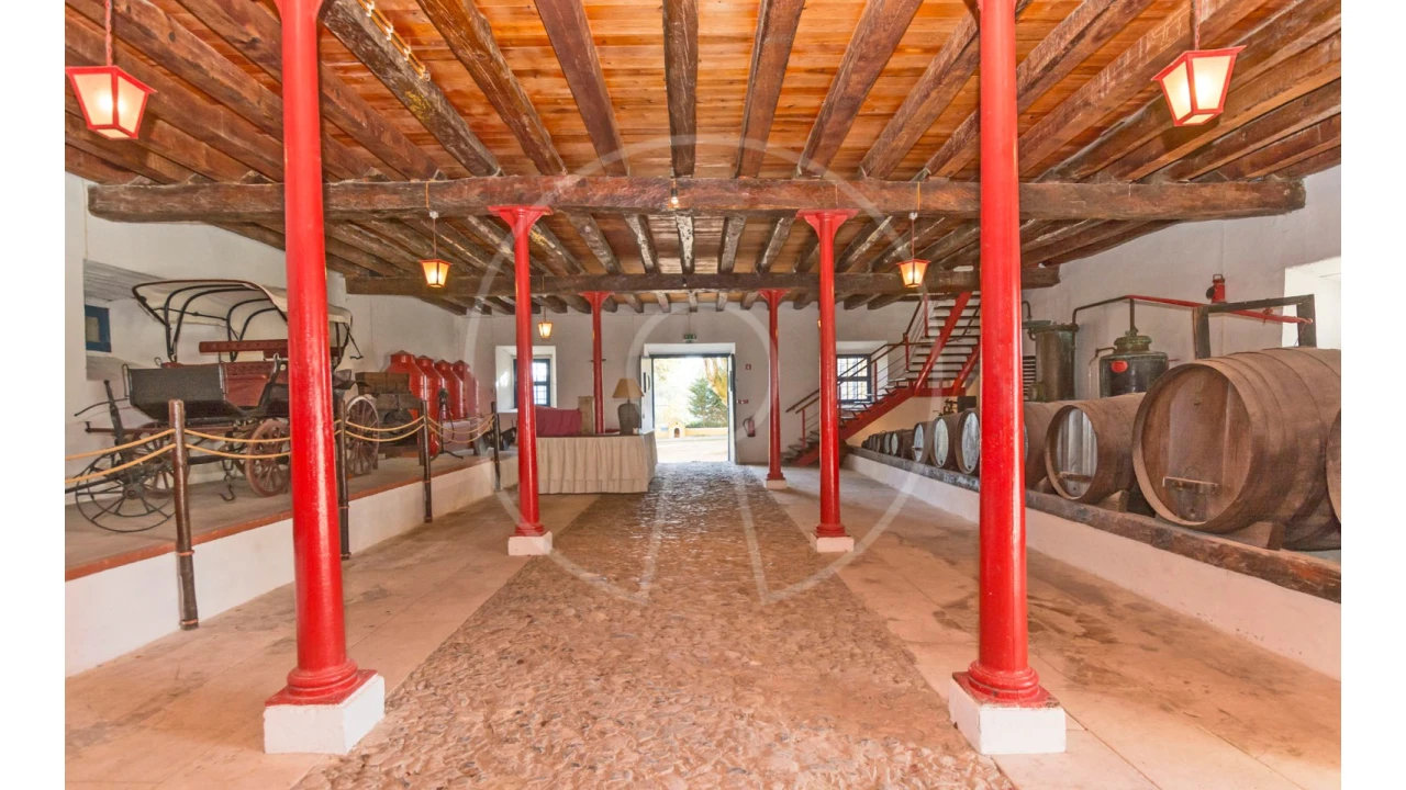 Quinta T24 para Venda em Valado dos Frades Foto 30