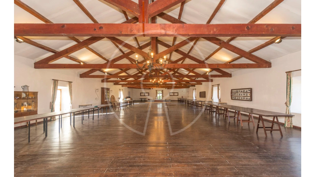 Quinta T24 para Venda em Valado dos Frades Foto 33