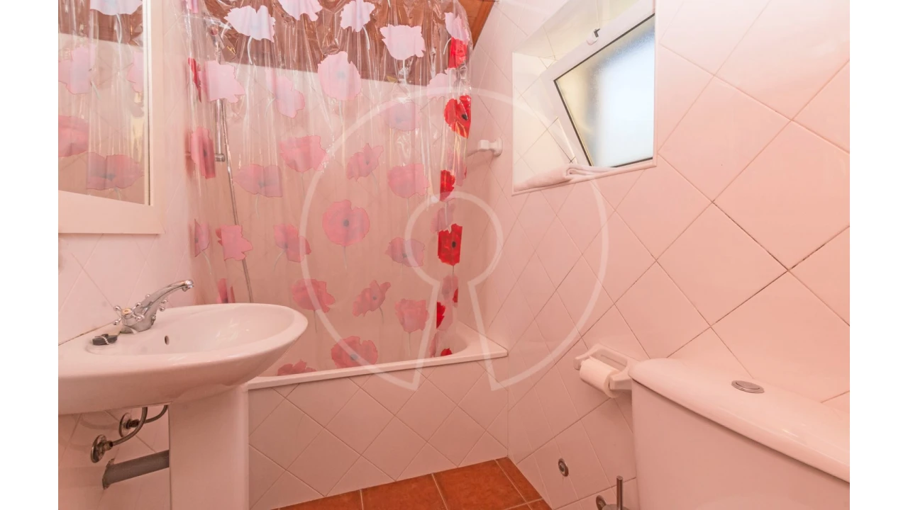 Quinta T24 para Venda em Valado dos Frades Foto 37