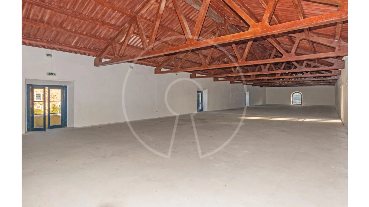 Quinta T24 para Venda em Valado dos Frades Foto 48