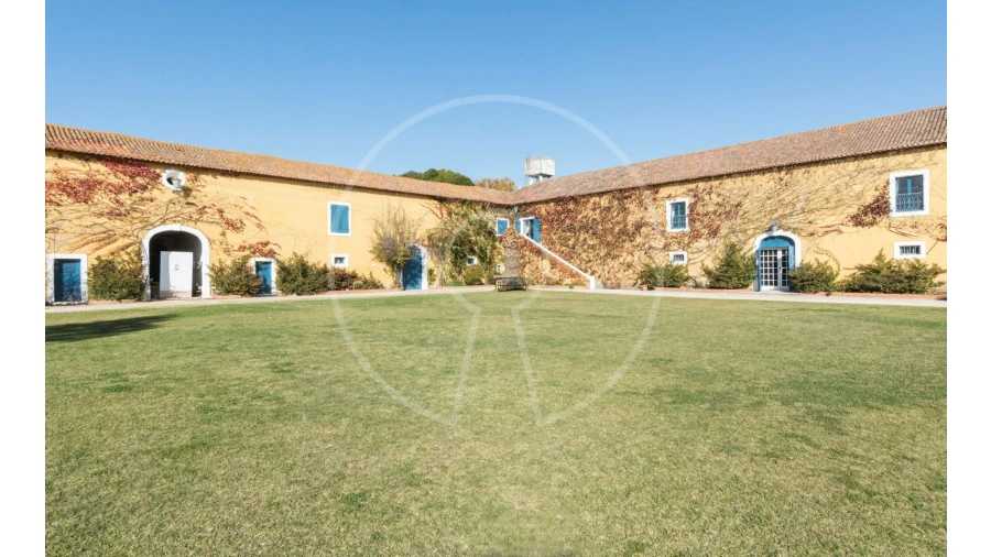 Quinta T24 para Venda em Valado dos Frades Foto 3