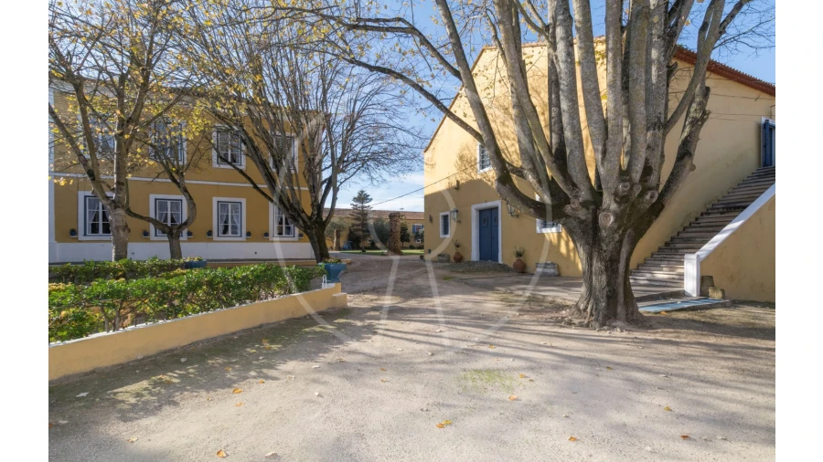 Quinta T24 para Venda em Valado dos Frades Foto 4