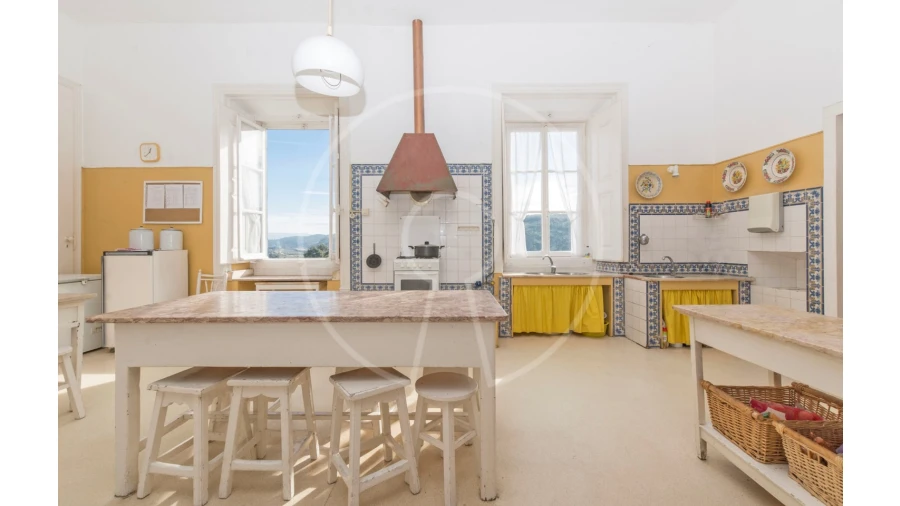 Quinta T24 para Venda em Valado dos Frades Foto 11