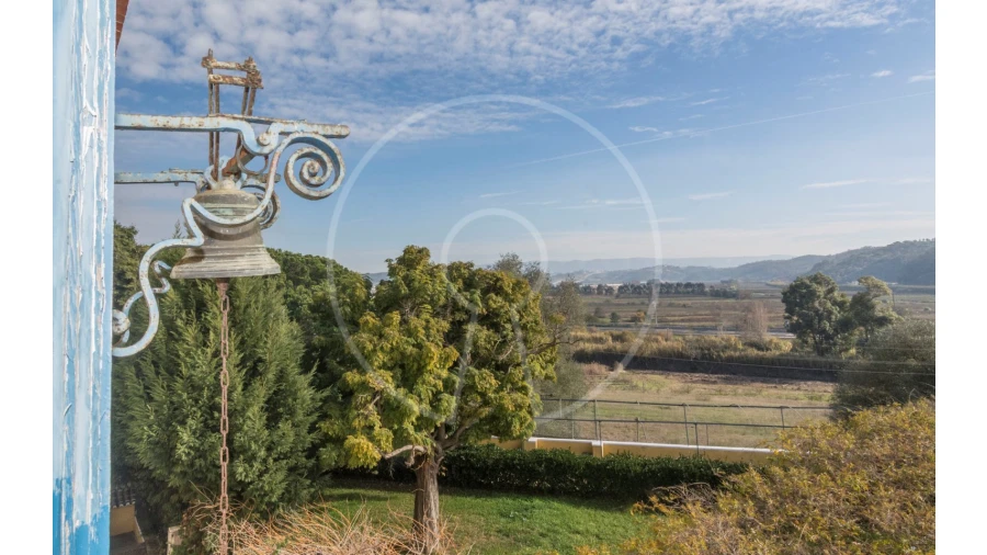 Quinta T24 para Venda em Valado dos Frades Foto 20