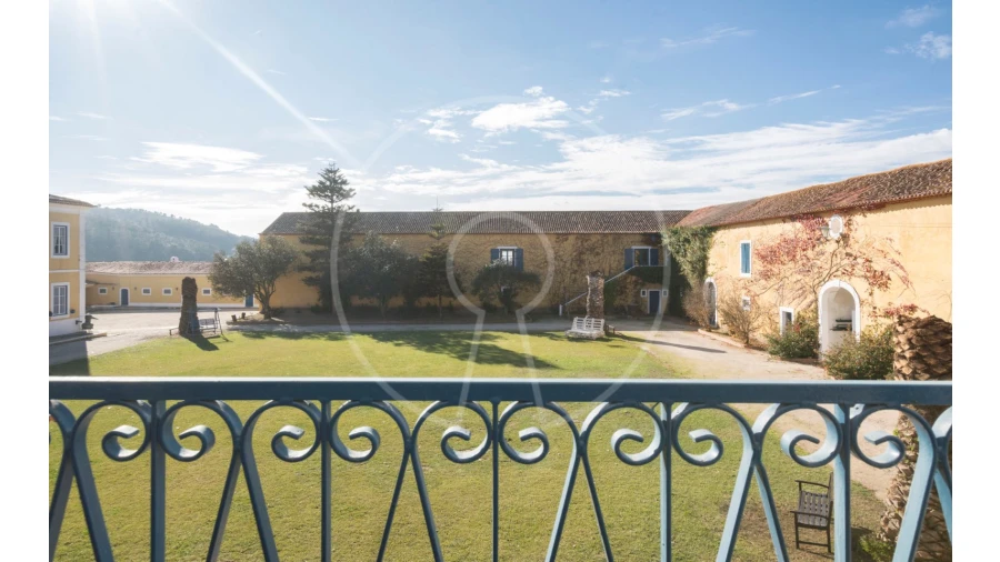 Quinta T24 para Venda em Valado dos Frades Foto 22