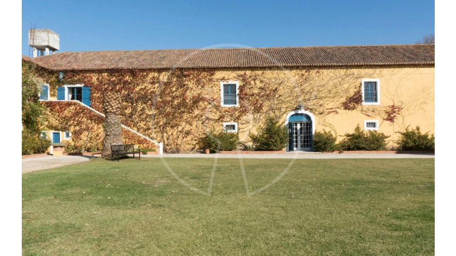 Quinta T24 para Venda em Valado dos Frades Foto 26