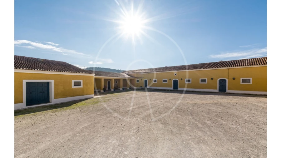 Quinta T24 para Venda em Valado dos Frades Foto 28