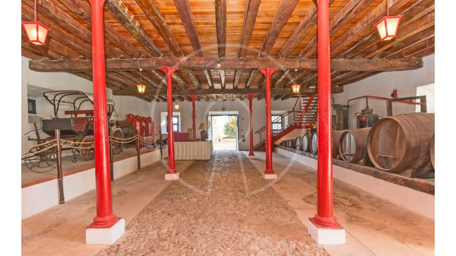 Quinta T24 para Venda em Valado dos Frades Foto 30