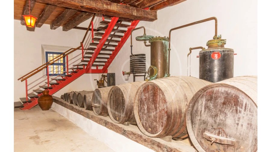 Quinta T24 para Venda em Valado dos Frades Foto 31