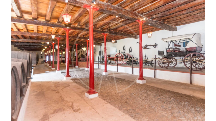 Quinta T24 para Venda em Valado dos Frades Foto 32