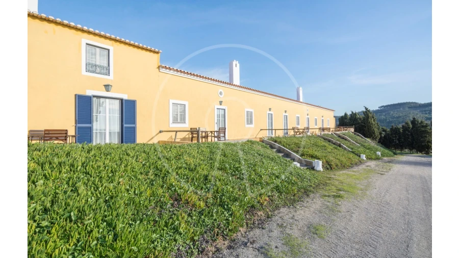 Quinta T24 para Venda em Valado dos Frades Foto 34