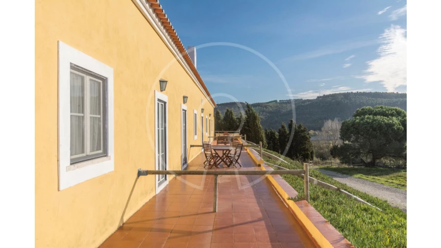 Quinta T24 para Venda em Valado dos Frades Foto 35