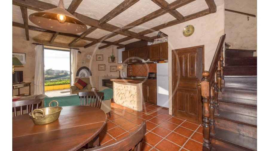 Quinta T24 para Venda em Valado dos Frades Foto 36