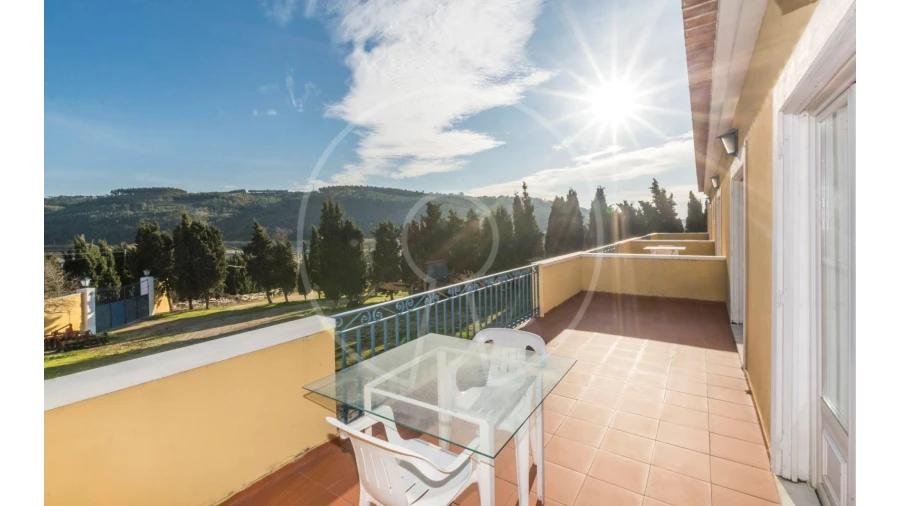 Quinta T24 para Venda em Valado dos Frades Foto 44