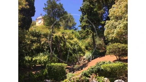 Moradia T7 para Venda em Oeiras e São Julião da Barra, Paço de Arcos e Caxias