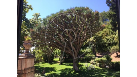 Moradia T7 para Venda em Oeiras e São Julião da Barra, Paço de Arcos e Caxias