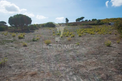 Terreno para Venda em Alenquer (Santo Estêvão e Triana)