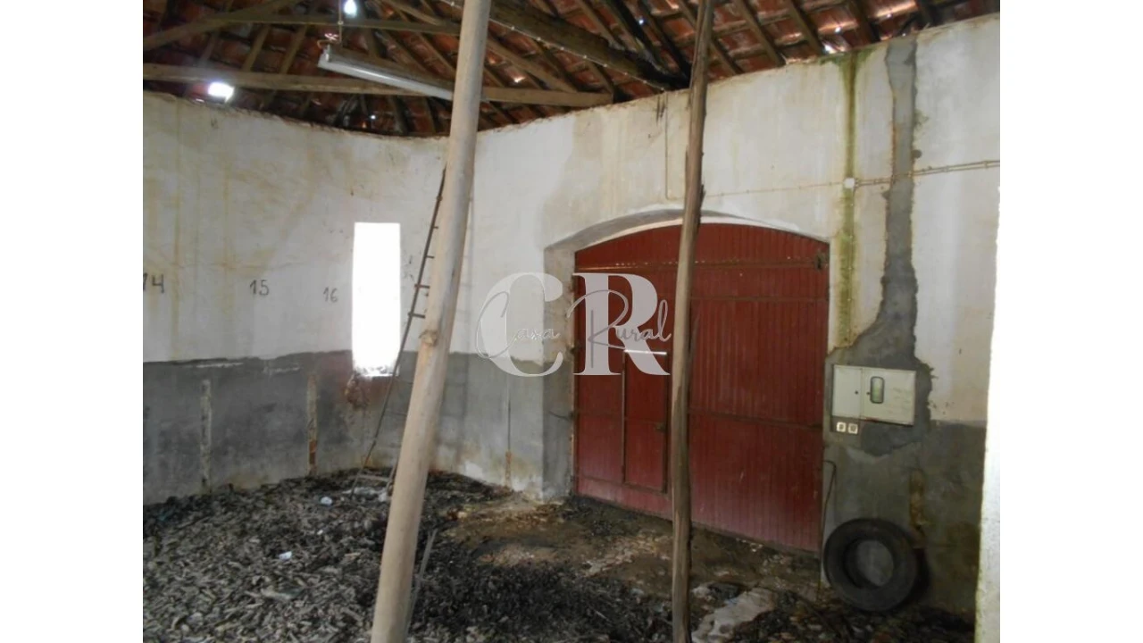 Armazém para Venda em Pousaflores Foto 14