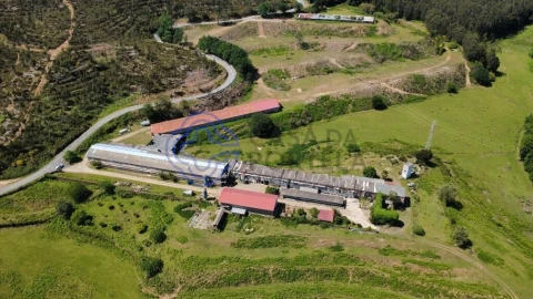 Quinta T5 para Venda em Vilar de Mouros