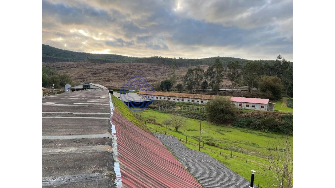 Quinta T5 para Venda em Vilar de Mouros Foto 3