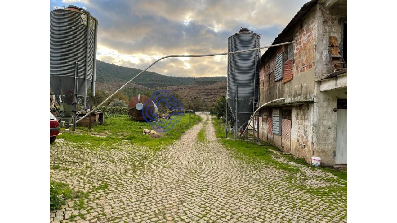 Quinta T5 para Venda em Vilar de Mouros Foto 6