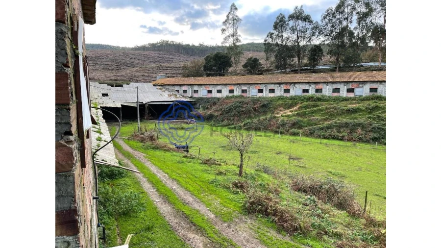 Quinta T5 para Venda em Vilar de Mouros Foto 4