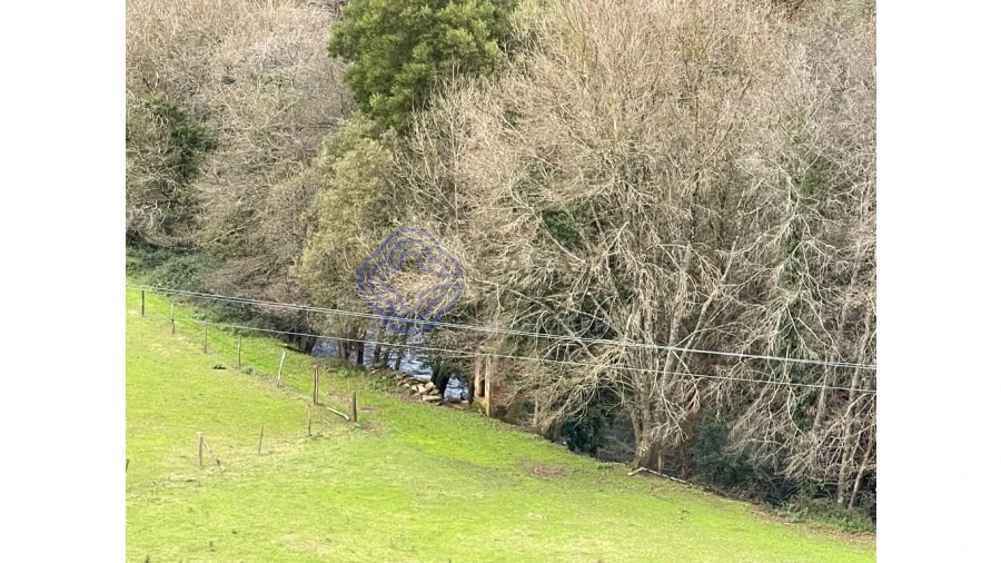 Quinta T5 para Venda em Vilar de Mouros