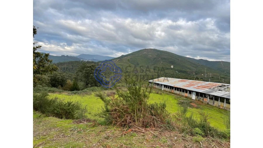 Quinta T5 para Venda em Vilar de Mouros Foto 8