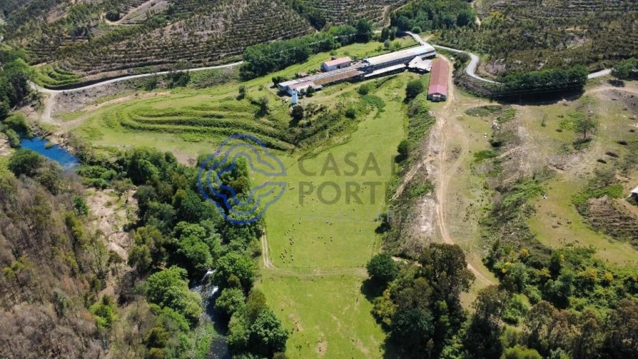 Quinta T5 para Venda em Vilar de Mouros Foto 18