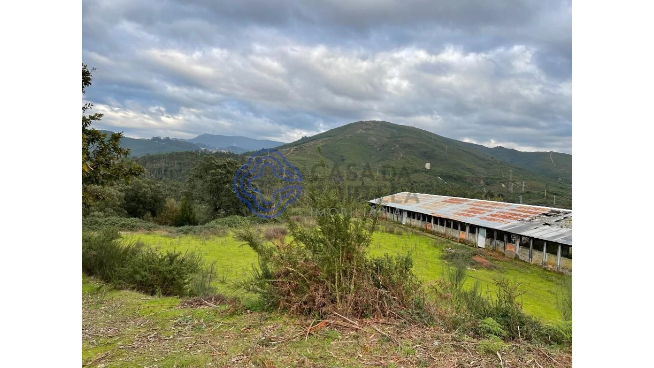 Quinta T5 para Venda em Vilar de Mouros Foto 8