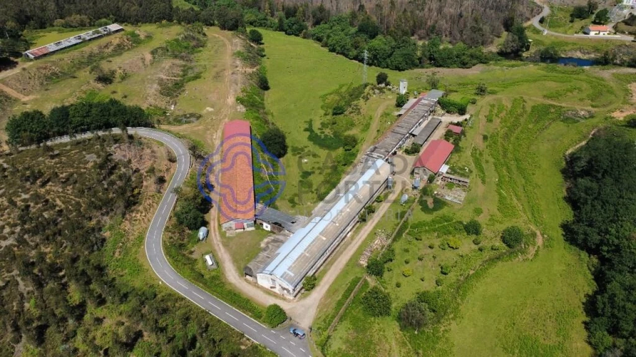 Quinta T5 para Venda em Vilar de Mouros Foto 14