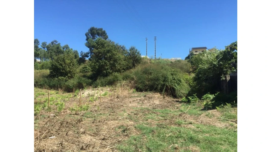 Terreno para Venda em Telões Foto 1