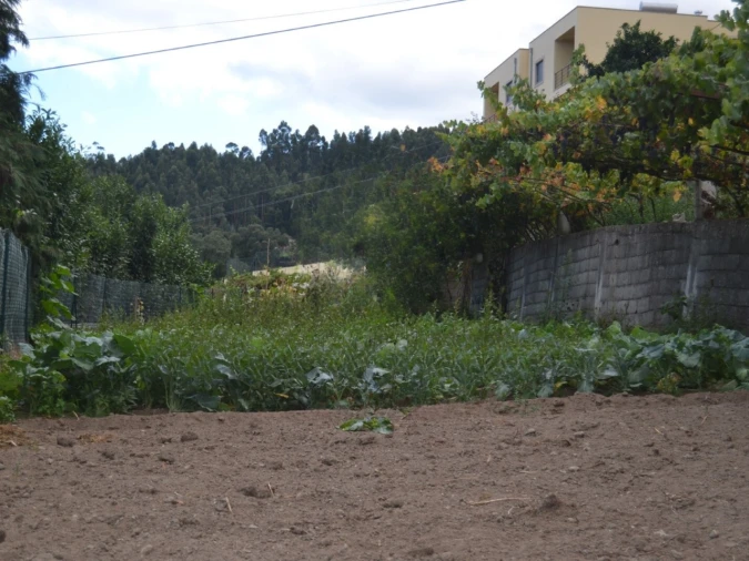Moradia T3 para Venda em Termas de São Vicente Foto 5