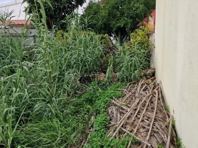Terreno para Venda em Santo Antão e São Julião do Tojal Foto 13