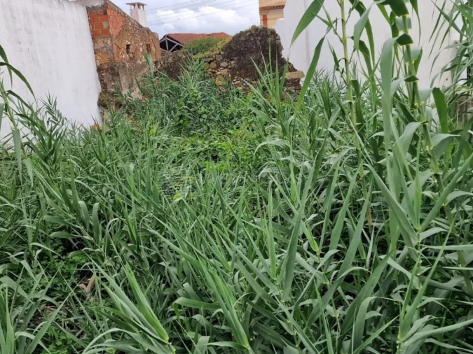 Terreno para Venda em Santo Antão e São Julião do Tojal Foto 14