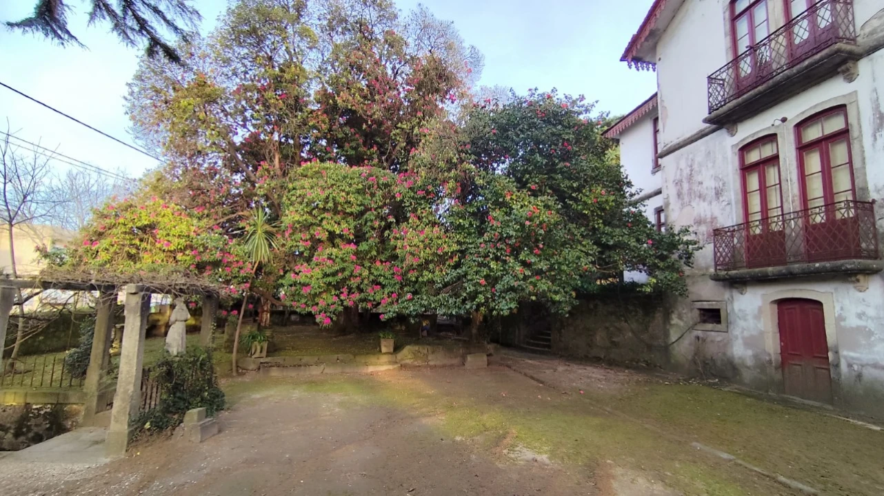 Quinta T10 para Venda em Touguinha e Touguinhó Foto 4