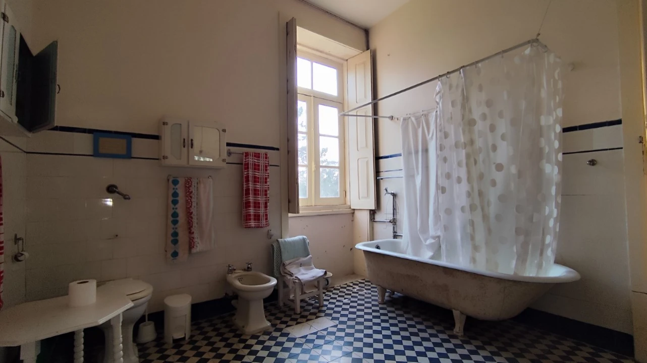 Quinta T10 para Venda em Touguinha e Touguinhó Foto 25