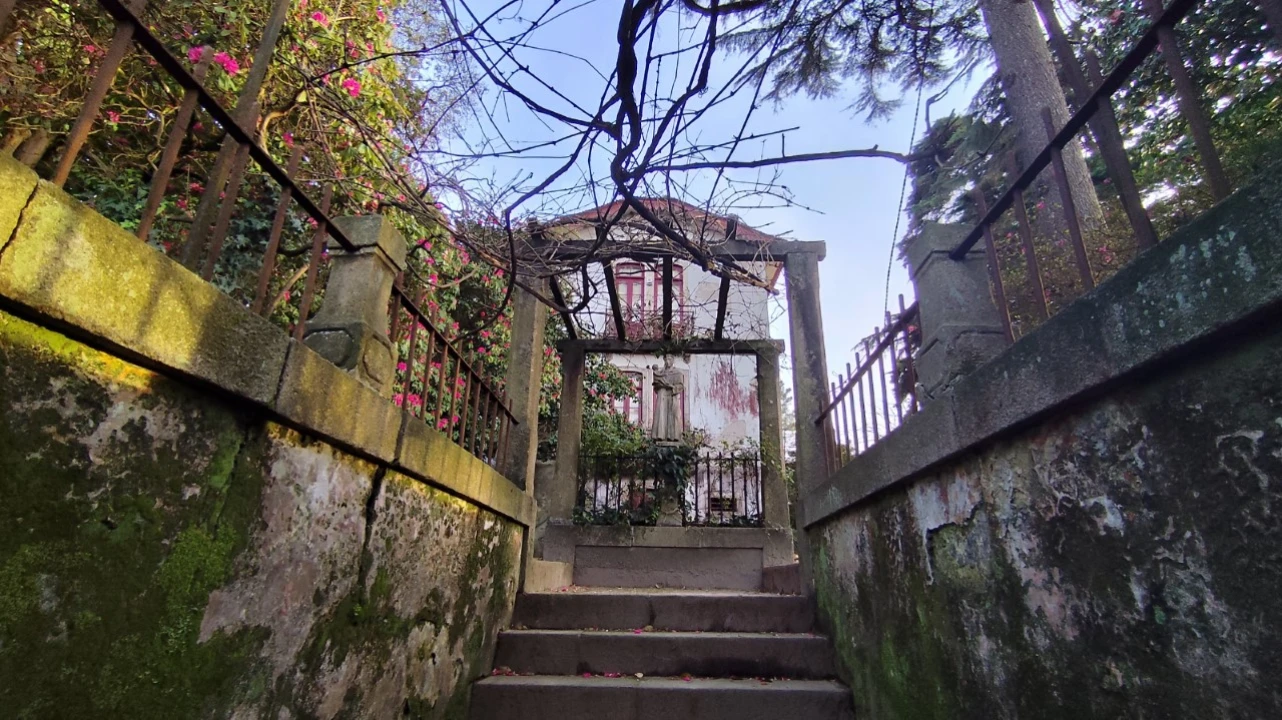 Quinta T10 para Venda em Touguinha e Touguinhó Foto 36