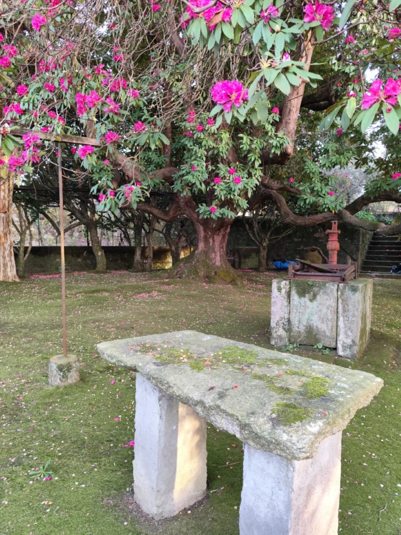 Quinta T10 para Venda em Touguinha e Touguinhó Foto 37