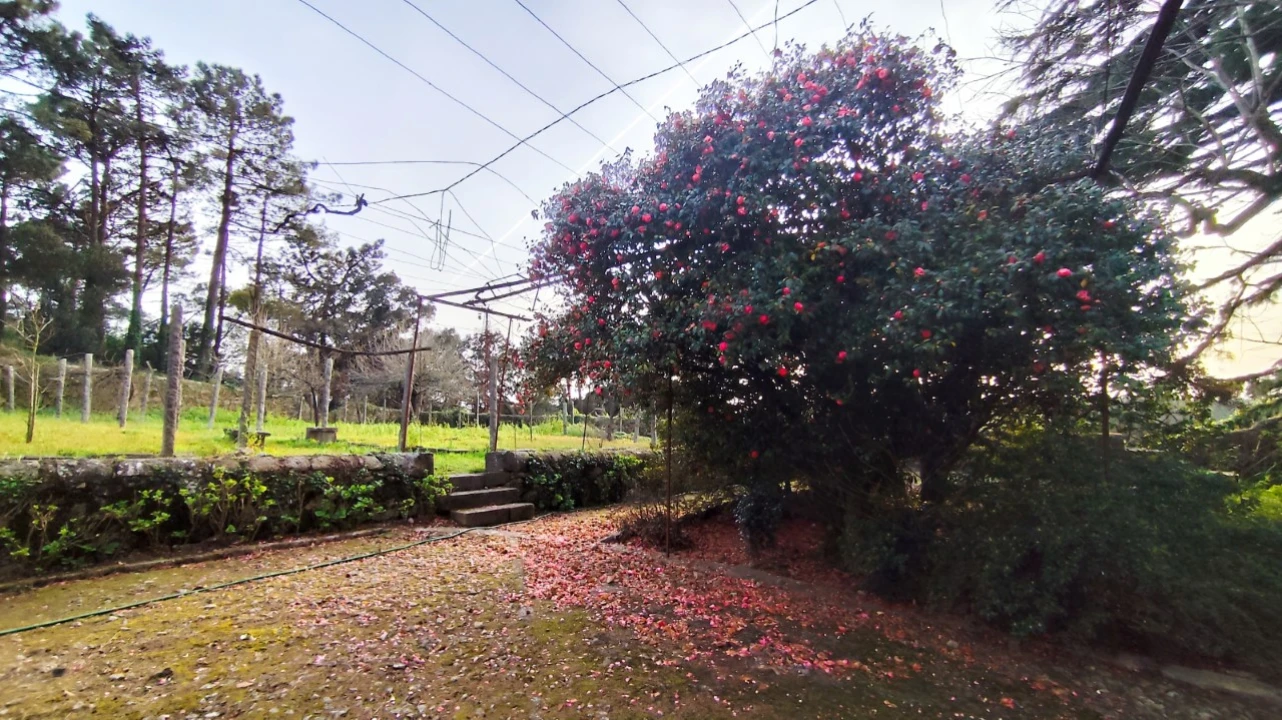 Quinta T10 para Venda em Touguinha e Touguinhó Foto 40