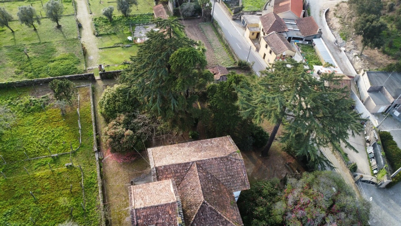 Quinta T10 para Venda em Touguinha e Touguinhó Foto 41