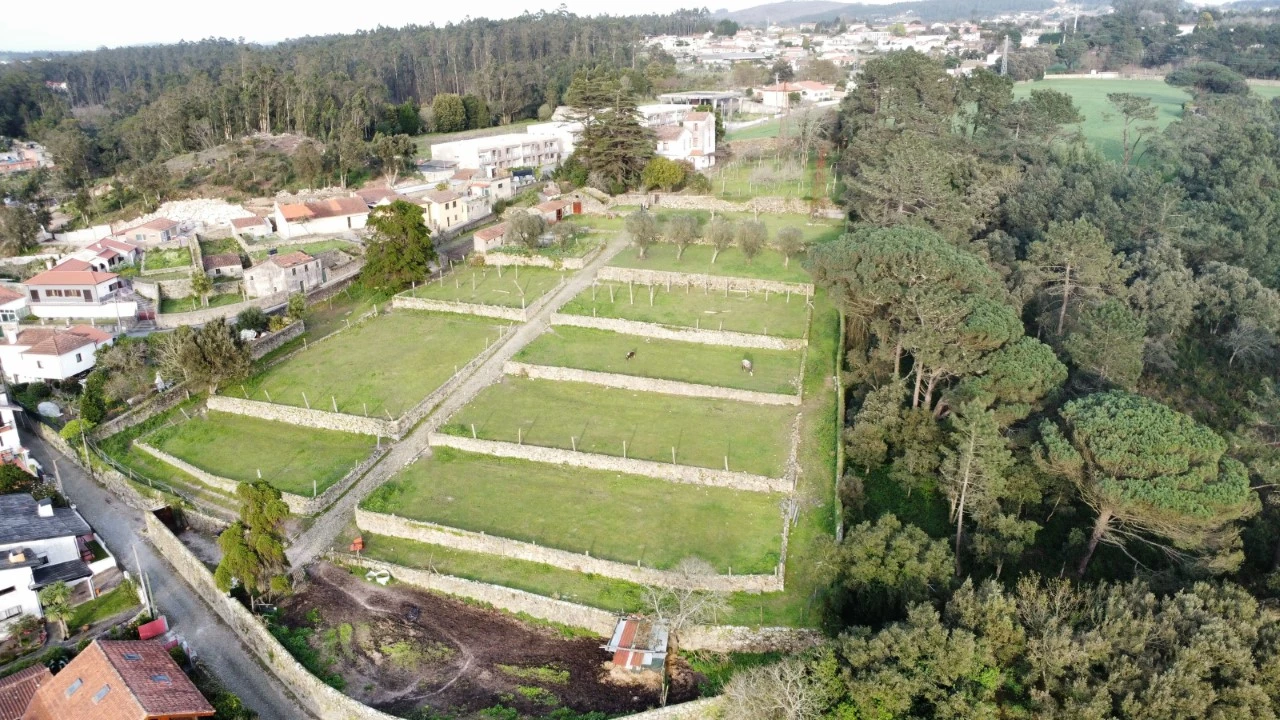 Quinta T10 para Venda em Touguinha e Touguinhó Foto 42