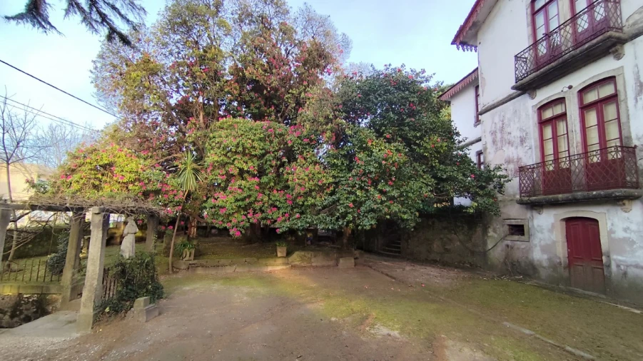 Quinta T10 para Venda em Touguinha e Touguinhó Foto 4