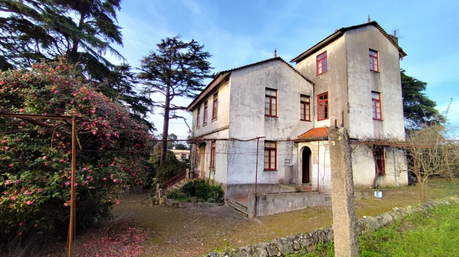 Quinta T10 para Venda em Touguinha e Touguinhó Foto 6