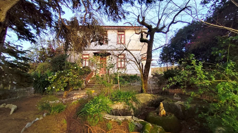 Quinta T10 para Venda em Touguinha e Touguinhó Foto 34