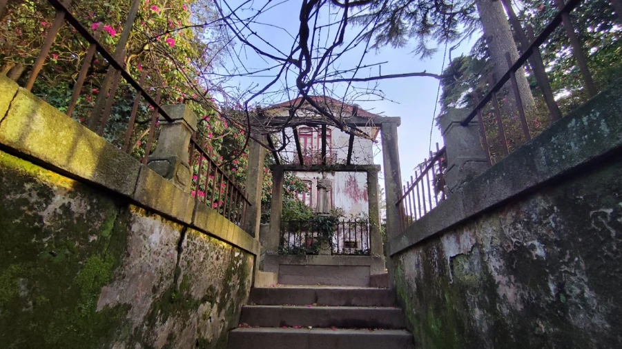 Quinta T10 para Venda em Touguinha e Touguinhó Foto 36