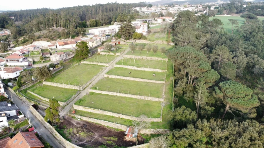 Quinta T10 para Venda em Touguinha e Touguinhó Foto 42